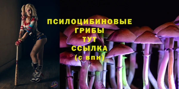 PSILOCYBIN Иннополис