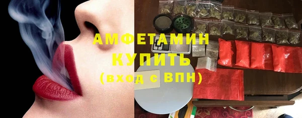 сатива Инта