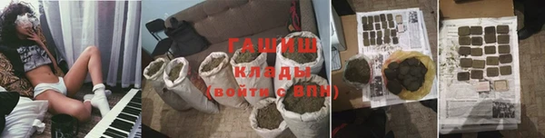 apvp Инсар