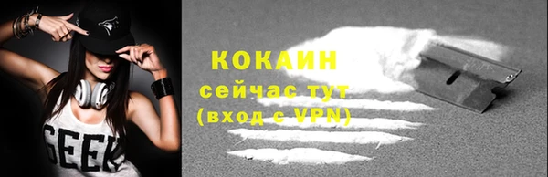 сатива Инта