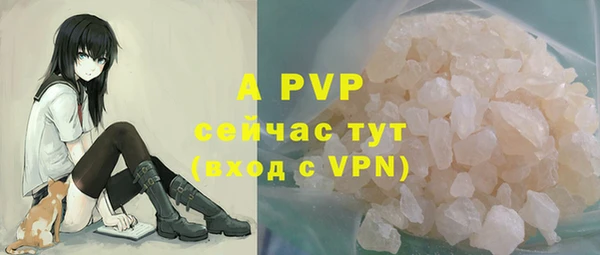 apvp Инсар