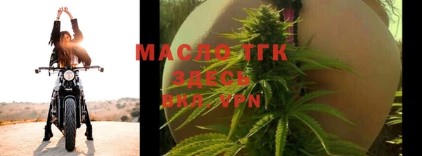 сатива Инта