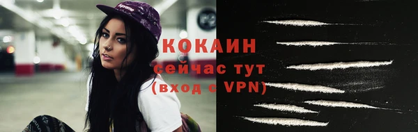 сатива Инта