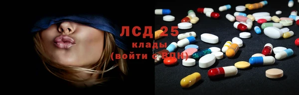 сатива Инта