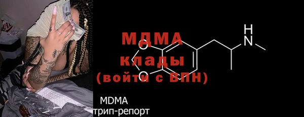 сатива Инта