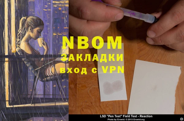 сатива Инта