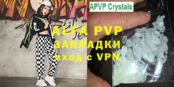 сатива Инта