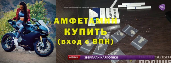 сатива Инта