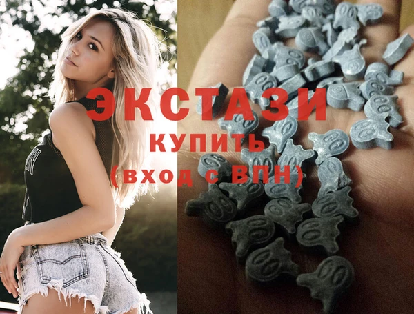 apvp Инсар