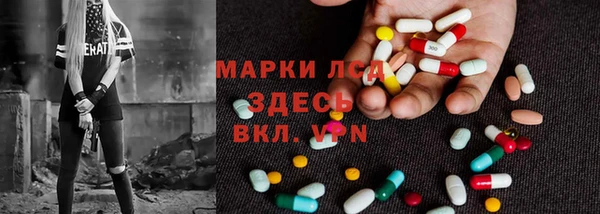 apvp Инсар