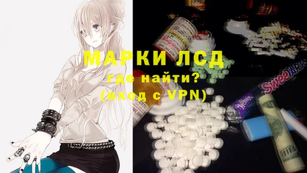 apvp Инсар