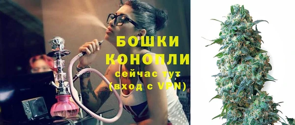 apvp Инсар