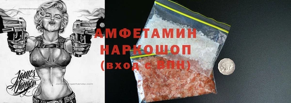 apvp Инсар